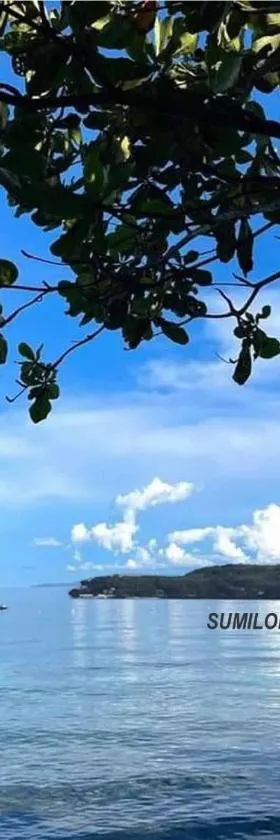 Island Front - Bangcogon Resort and Restaurant, Hotel in Oslob