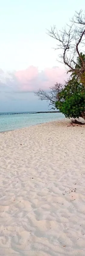 Dhoadhi Beach Maldives, Hotel in Omadhoo