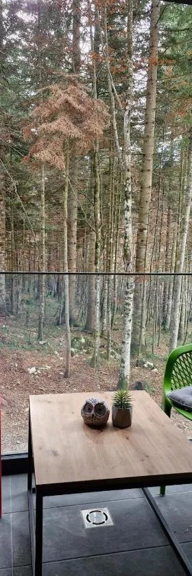 Green peace-Bjelašnica, Hotel in Sarajevo