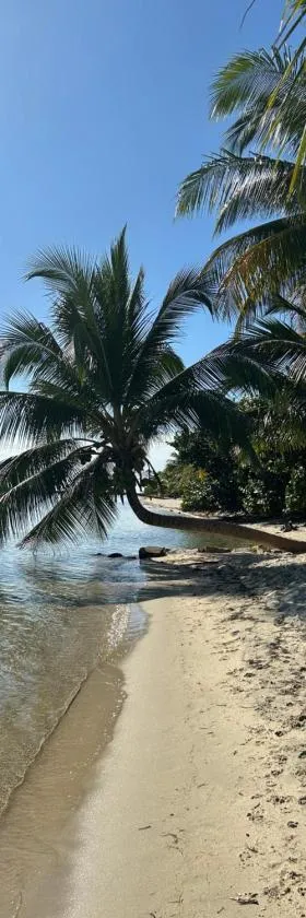 Palm & Pelican, Hotel in Maya Beach