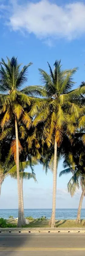 Calm Beach Inn, Hotel in Laamu