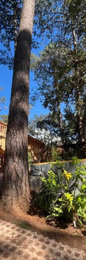 Bosque de Avandaro, Hotel in Valle de Bravo