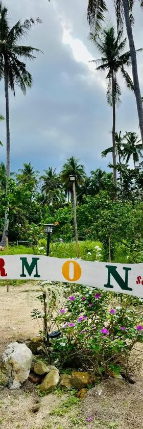Ermon Sea Side View, Hotel in El Nido