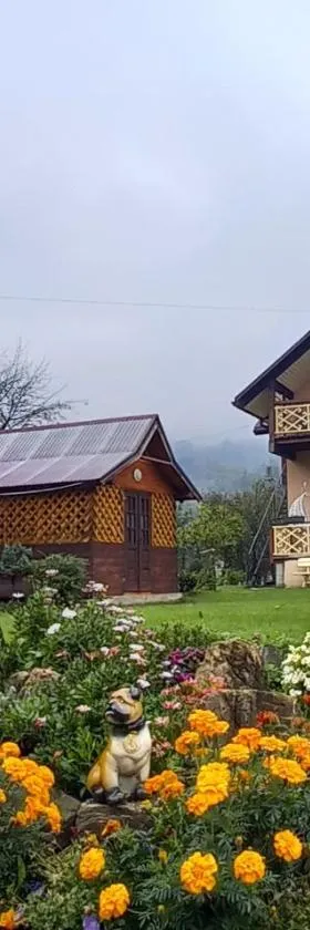 Апартаменти в садибі Черемош, Hotel in Krivorovnya