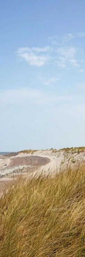 Gutenbergheim Wangerooge, Hotel in Wangerooge