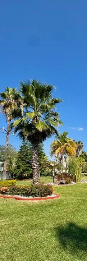 Casa Palma, Hotel in Xochitepec