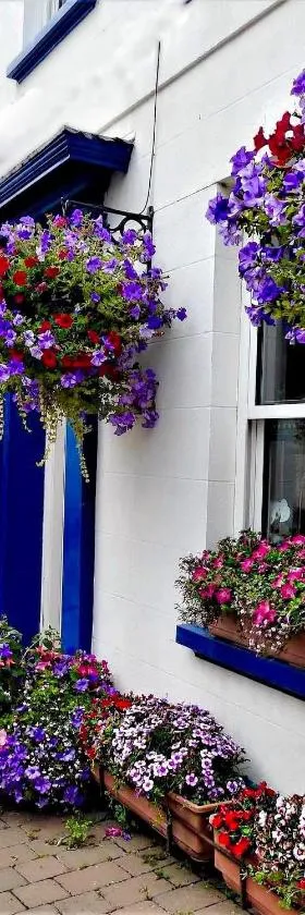 Bonjour Guest house, Hotel in Alderney