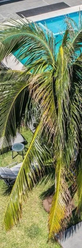 Bamboo, Hotel in Boca del Río