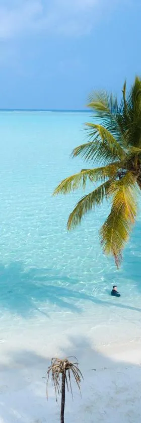 Masfalhi View Inn, Hotel in Felidhu-Atoll
