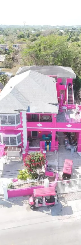 Da Pink And White Palace, Hotel in Nassau