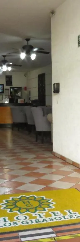 Hotel Los Girasoles, Hotel in Tepic