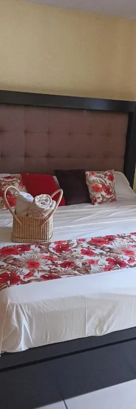 Departamento Tapatío, Hotel in Guadalajara