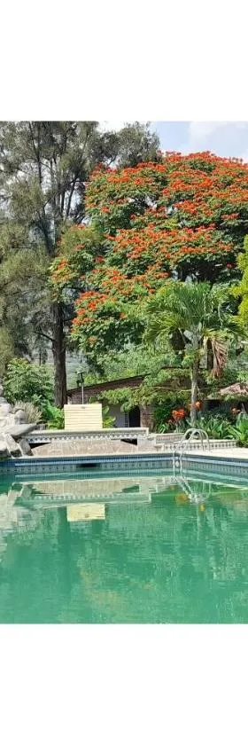 Capital O Posada Del Pescador, Hotel in Chapala