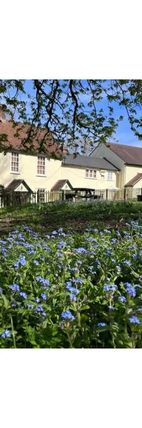 Black Horse, Hotel in Brent Pelham