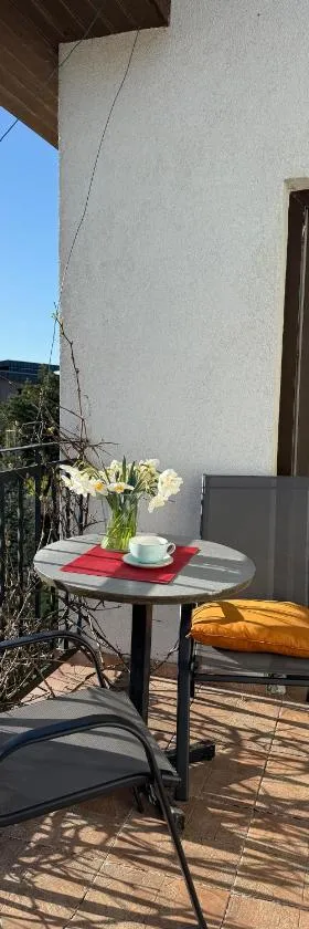 Big, cozy and quiet home, Hotel in Rāmava