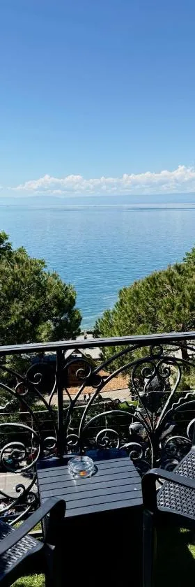Hotel Parc & Lac, Hotel in Montreux
