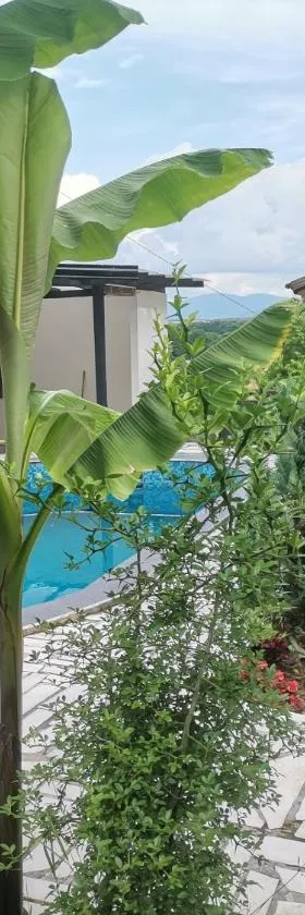 Garden- pool apartman, Hotel in Petrovice Donje