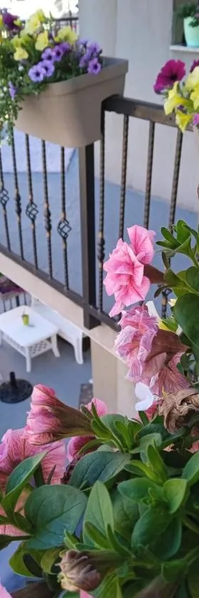 Apartmani Odmor Fojnica, Hotel in Fojnica