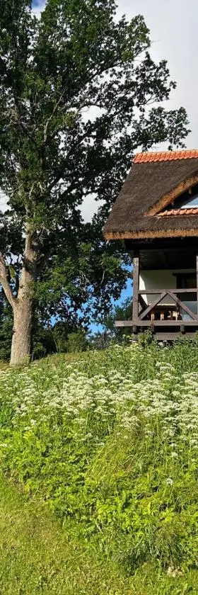 Lake House Denderi, Hotel in Rubene