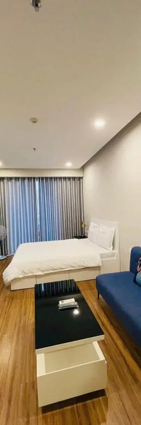 VÁN ÉP HẢI DƯƠNG PHÂN PHỐI GỖ DÁN PLYWOOD GIÁ TỐT UY TÍN