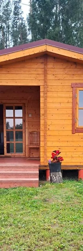 Atpūta Priedītēs - pie Tērvetes Dabas parka ar zirgiem, ponijiem un dabas tuvumu, Hotel in Tērvete