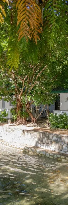 The Three P Beach Resort & Dive Center, Hotel in Romblon