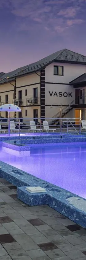 VASOK Hotel NEW 2025, Hotel in Solotwyno