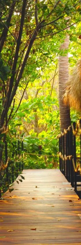 Hotel Noga, Hotel in Zipolite