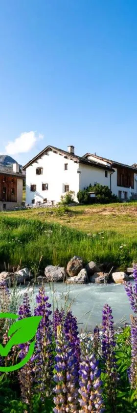 Hotel Chesa Pool, Hotel in Sils im Engadin