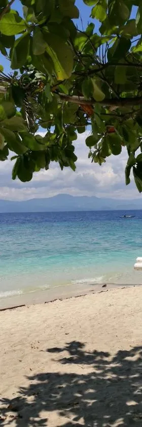 Ravenala Beach Bungalows, Hotel in Moalboal