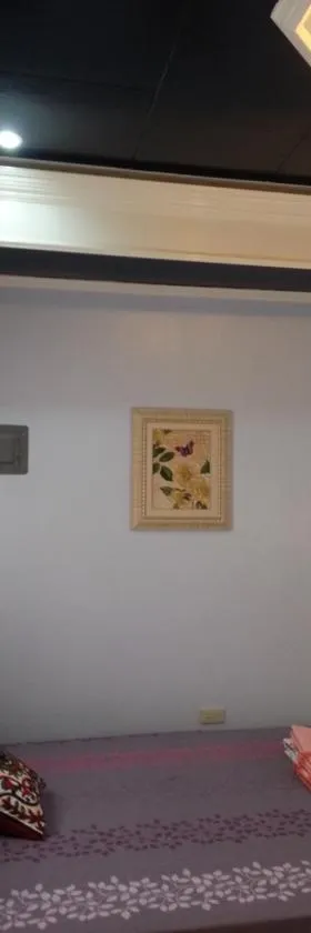 Vhauschild Transient Rooms, Hotel in Alaminos