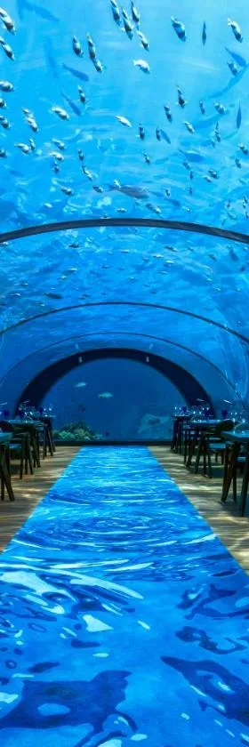 Hurawalhi Island Resort, Hotel in Kuredu