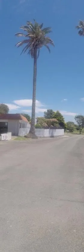 Opotiki Holiday Park, Hotel in Opotiki