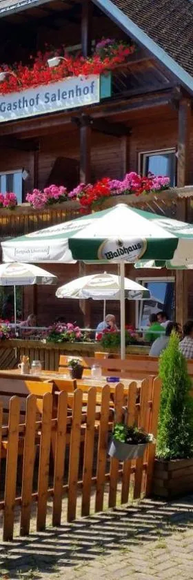 Schwarzwaldgasthaus Salenhof, Hotel in Titisee-Neustadt