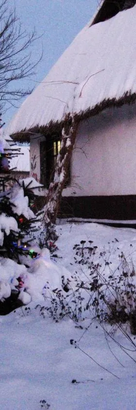 Koryakivskyi Rai, Hotel in Dmitrenki