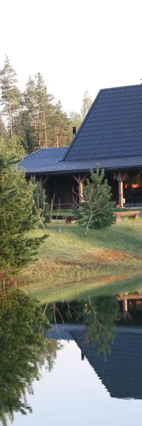 Viesu māja Forrest, Hotel in Dzimtmisa