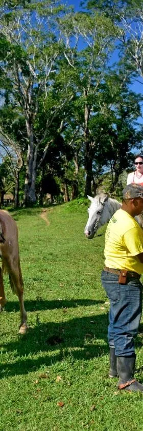 Banana Bank Lodge & Jungle Horseback Adventures, Hotel in Belmopan