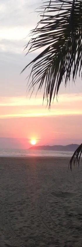 Casa de la Tortuga, Hotel in Zihuatanejo