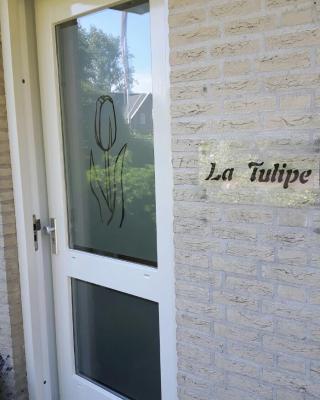 La Tulipe