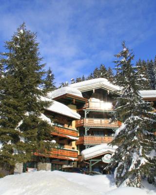 Alpen Appartements Zauchensee