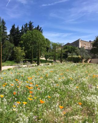 Domaine Les Martins - Gordes