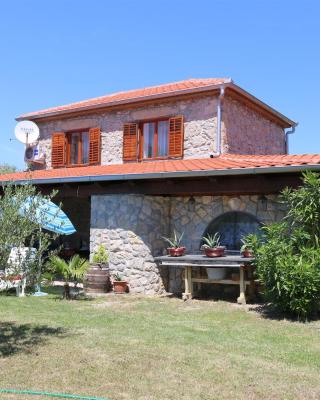 House Vidak