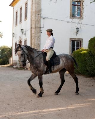 Quinta dos Álamos Agroturismo