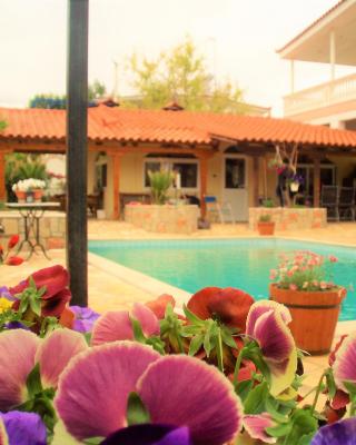 Jacuzzi Pool House AMA5690