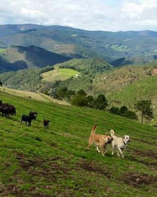 Hotel Rural Yeguada Albeitar