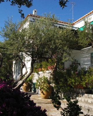 Il Rifugio B&B Capri