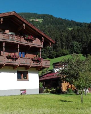 Apartment Theresia
