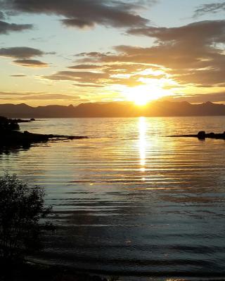 Prima Lofoten