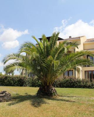 Palmas Dorada Home