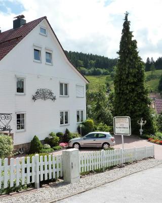 Pension Rheingold Garni